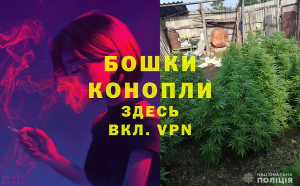 амф Осинники