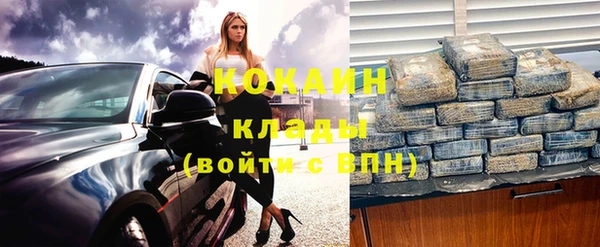 индика Билибино